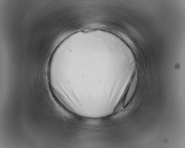 X0000096631055200803041100