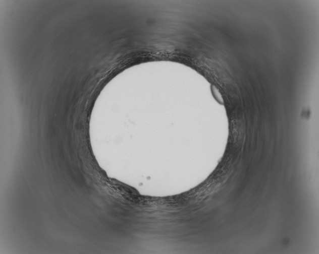 X0000096631057200803041059