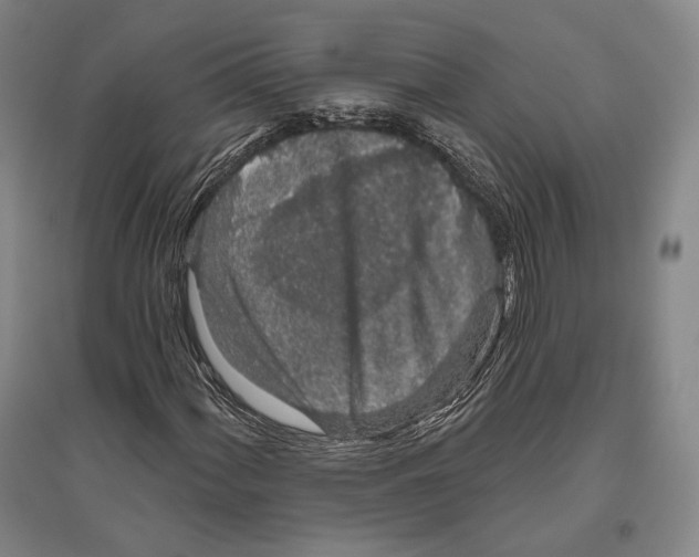 X0000096631060200803041059