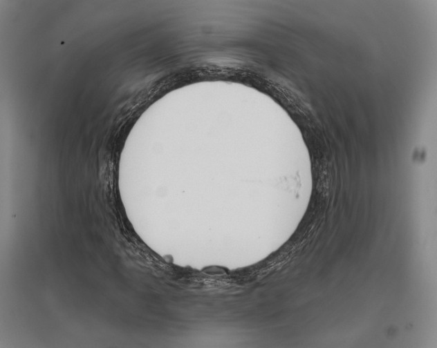 X0000096631061200803041059