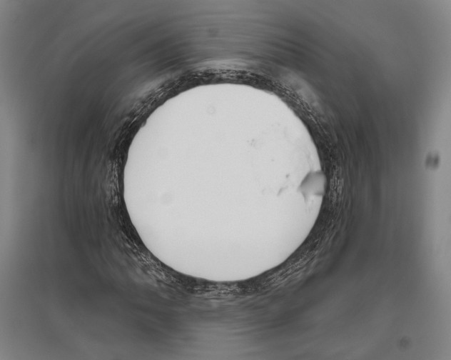 X0000096631062200803041059