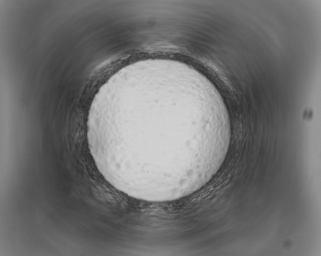 X0000096631063200803041059