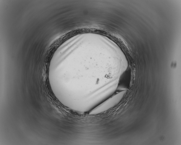 X0000096631064200803041059