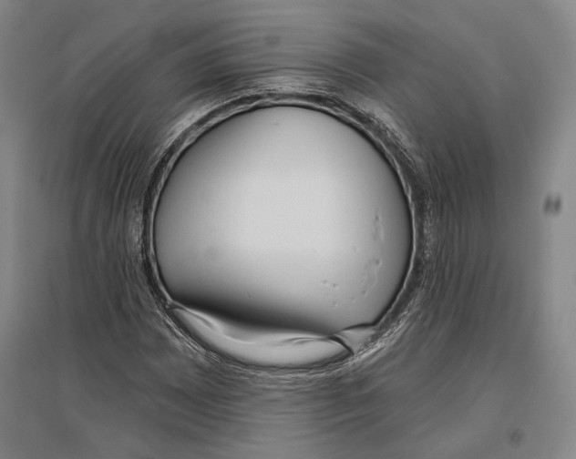 X0000096631065200803041059