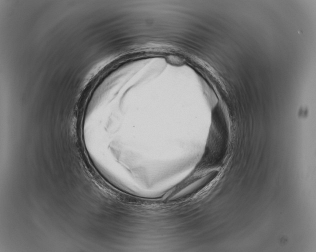X0000096631066200803041059