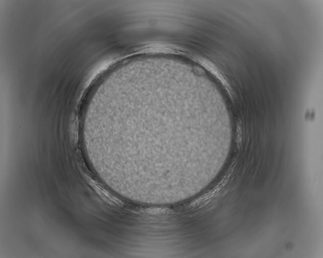 X0000096631067200803041059