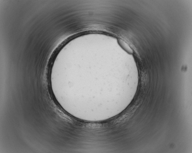 X0000096631068200803041059