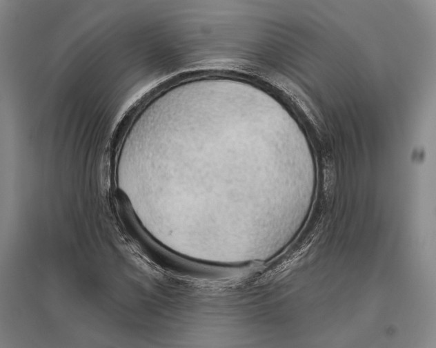X0000096631069200803041059
