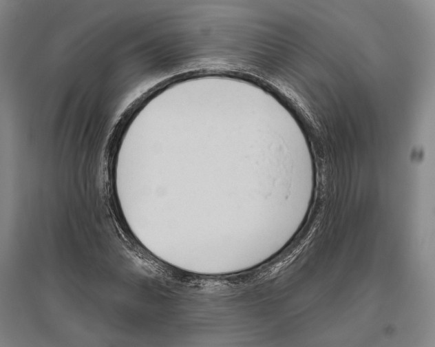 X0000096631070200803041059