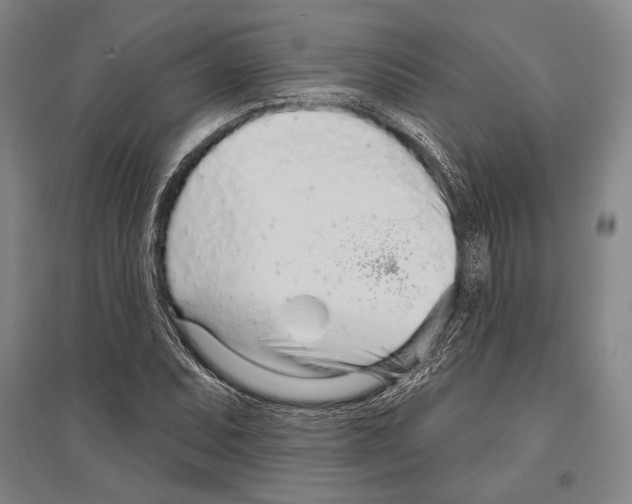 X0000096631071200803041059