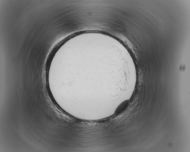 X0000096631072200803041059