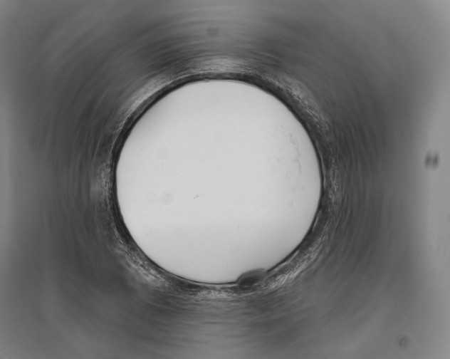 X0000096631073200803041059