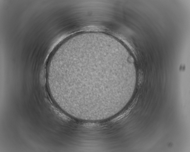 X0000096631075200803041059