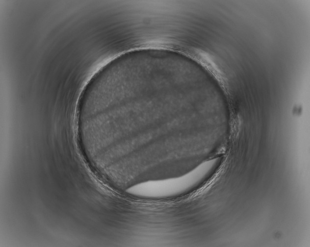 X0000096631077200803041059