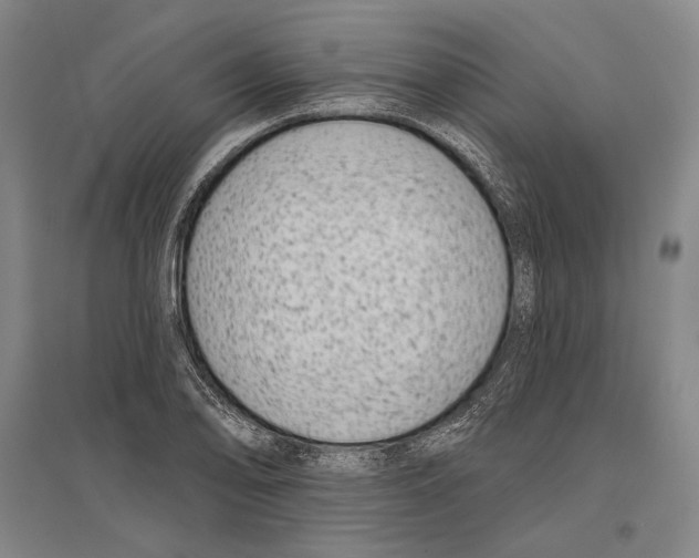 X0000096631078200803041059