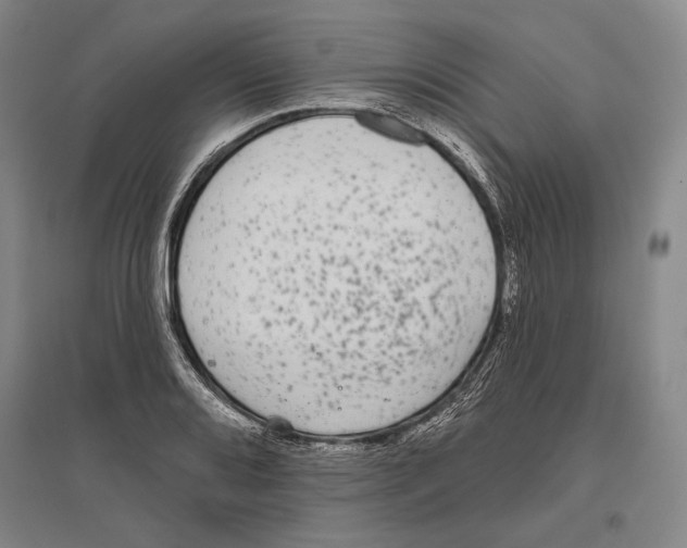 X0000096631080200803041059
