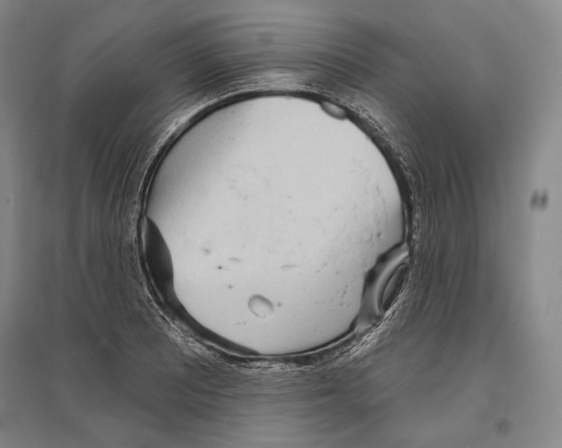 X0000096631081200803041059