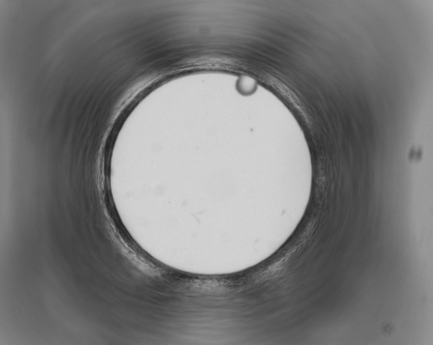 X0000096631082200803041059