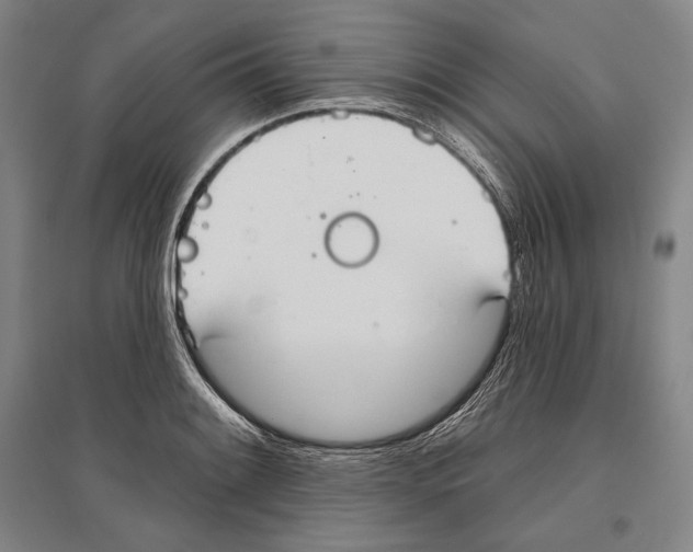 X0000096631084200803041059