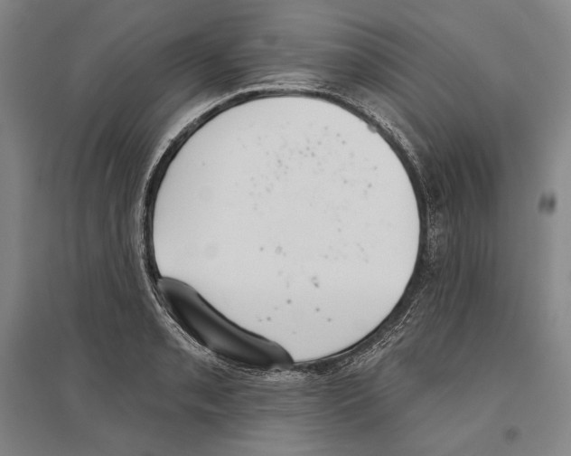 X0000096631085200803041059