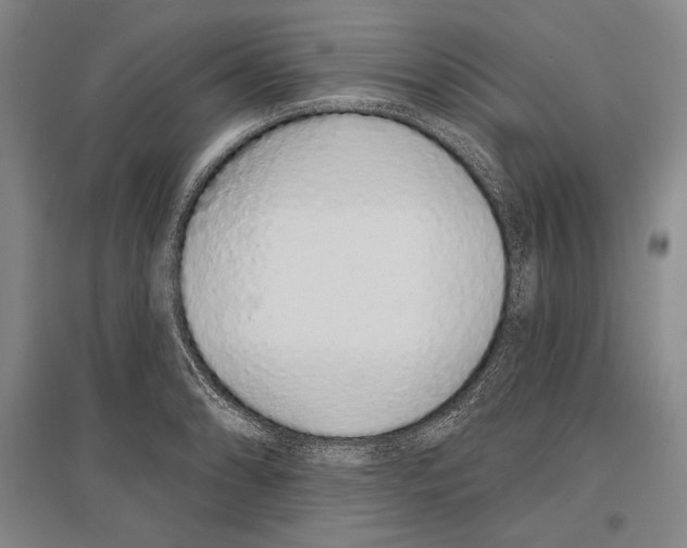 X0000096631086200803041059