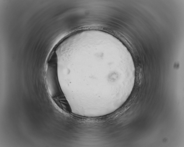 X0000096631087200803041059