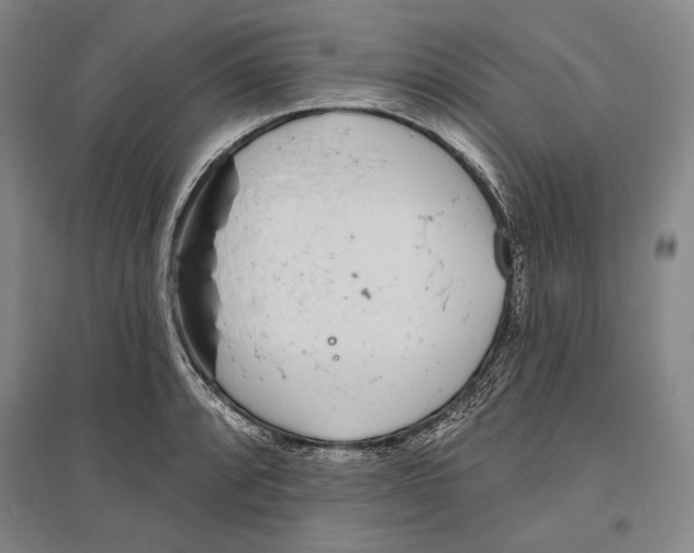 X0000096631088200803041059