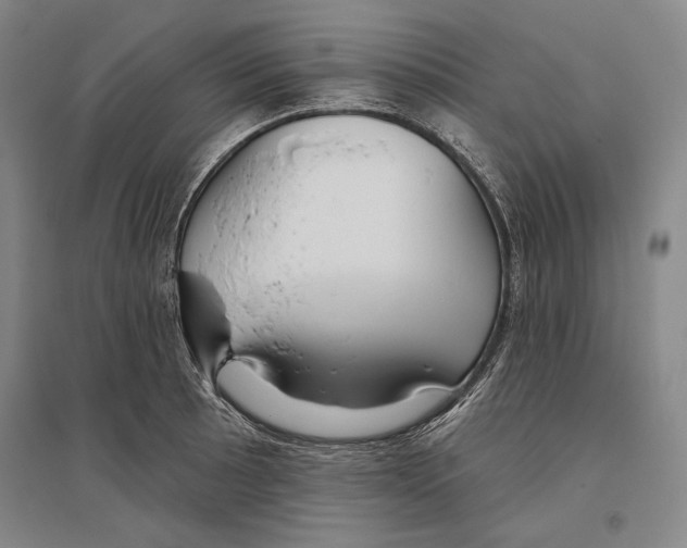 X0000096631089200803041059
