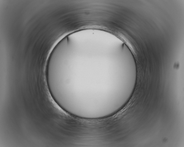 X0000096631092200803041059