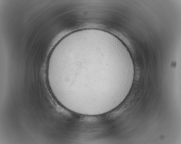 X0000096631094200803041059