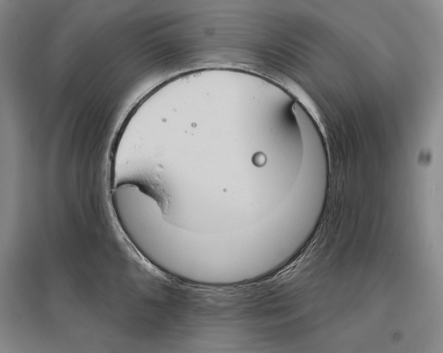 X0000096631096200803041059