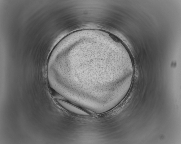 X0000096631097200803041059