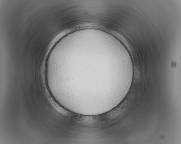 X0000096631098200803041059