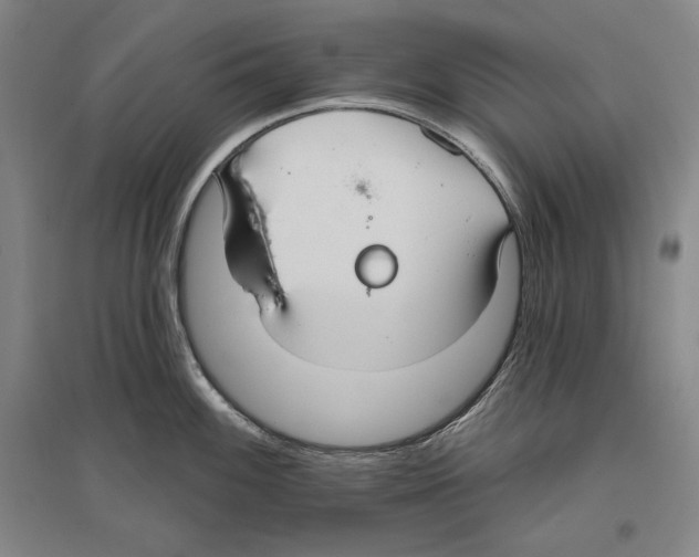 X0000096631100200803041059