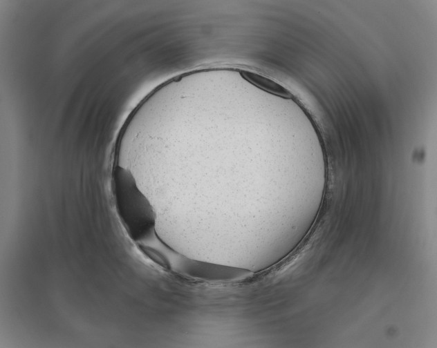 X0000096631102200803041059