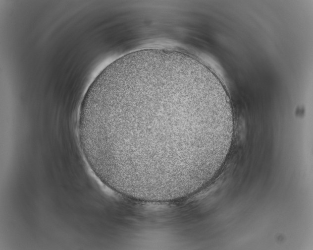 X0000096631103200803041059
