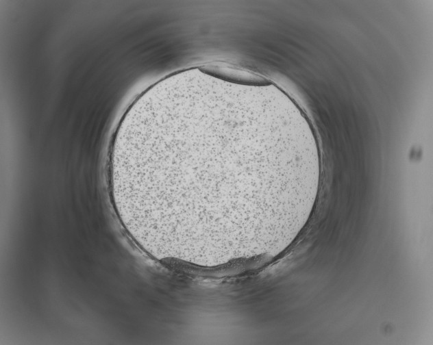 X0000096631104200803041059