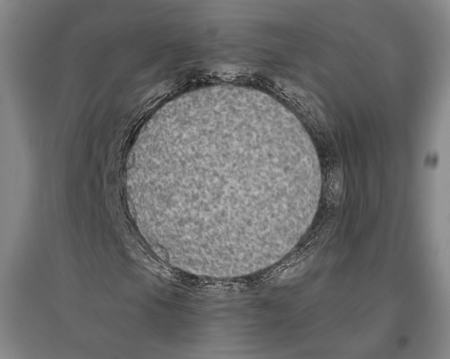 X0000096631105200803041058