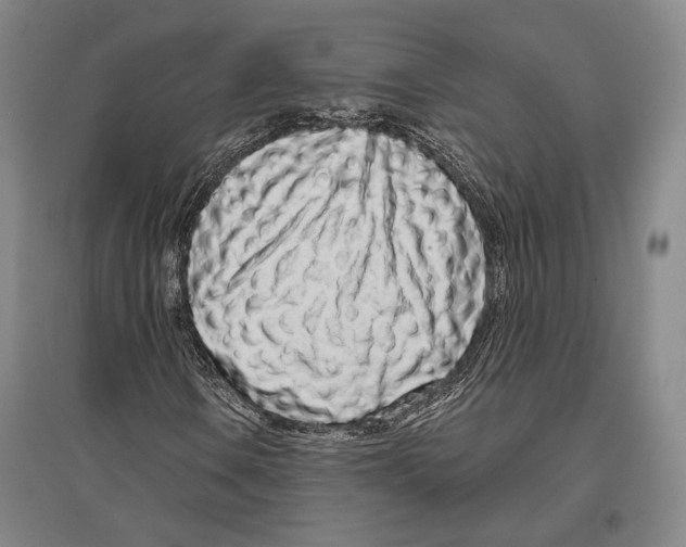 X0000096631106200803041058