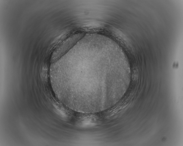 X0000096631108200803041058