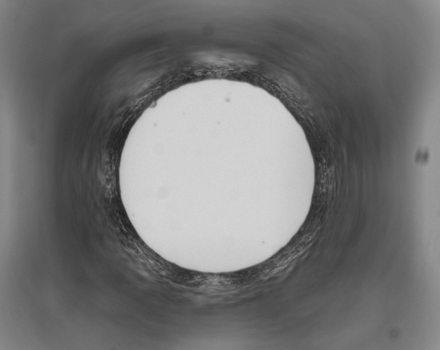 X0000096631109200803041058