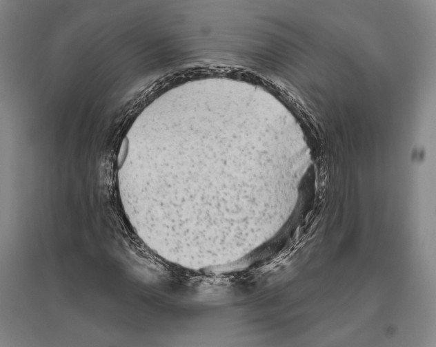 X0000096631110200803041058