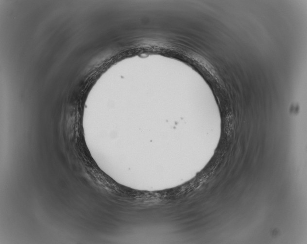 X0000096631111200803041058