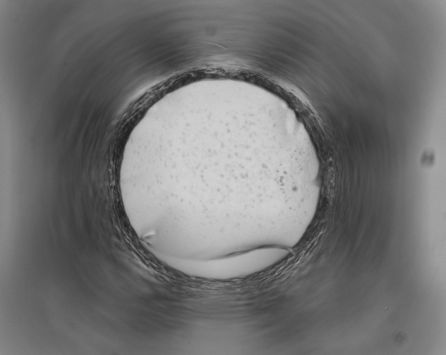 X0000096631112200803041058