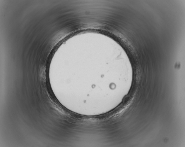 X0000096631113200803041058