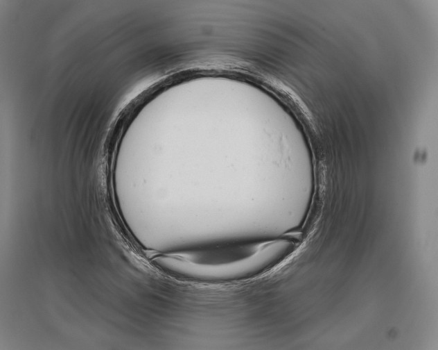 X0000096631114200803041058