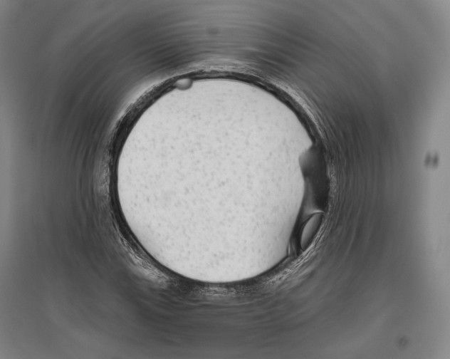 X0000096631115200803041058