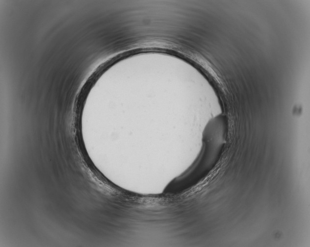 X0000096631116200803041058