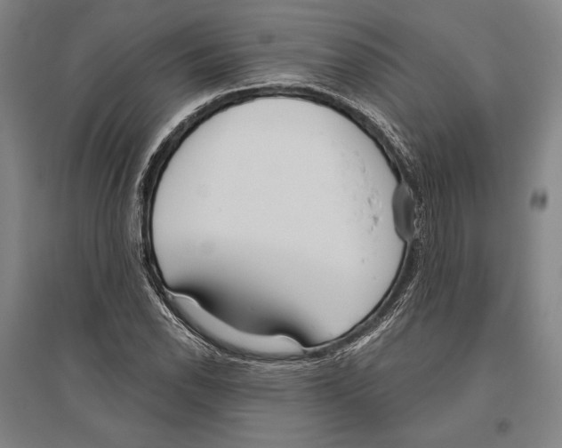 X0000096631118200803041058