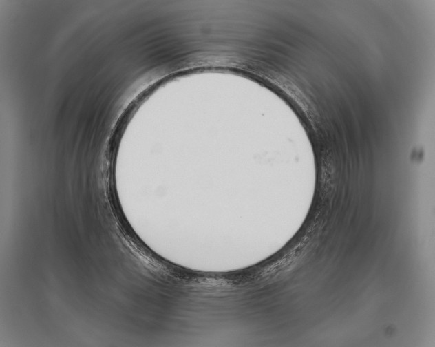 X0000096631119200803041058